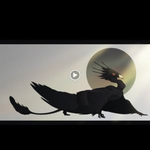 Meet your Posher, Huy